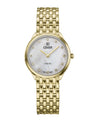 White/Gold